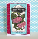The Watering Can: Seed Packets on Ivory Paper
