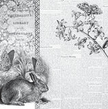 Mixed Media Origins - Nature