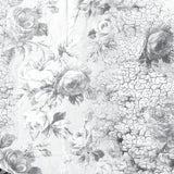 Mixed Media Origins - Nature