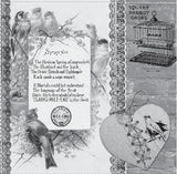 Mixed Media Origins - Flight