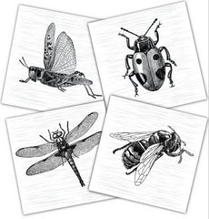 Mixed Media Origins Mini Art - Bugs