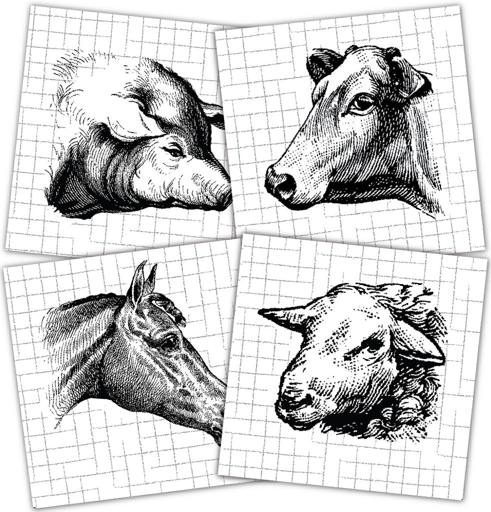 Mixed Media Origins Mini Art - Farm Animals