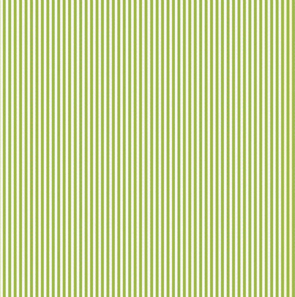 Green and Ivory Ribbon Stripe Paper