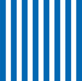 Royal Blue and White Big Stripe Paper