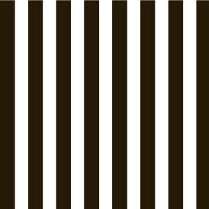 Black and White Big Stripe Paper