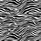Black and White Zebra Paper