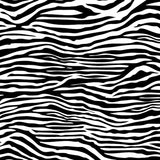 Canvas Corp Black and White Paper Collection