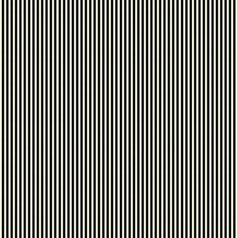 Black and Ivory Ribbon Stripe Paper