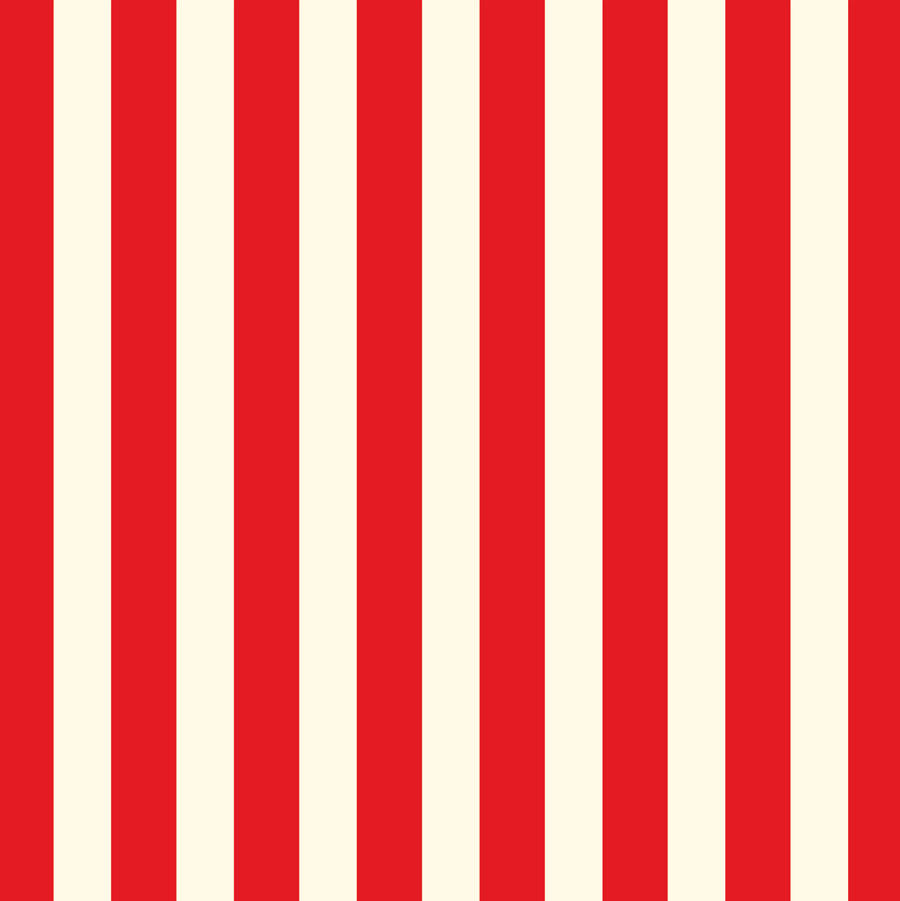 Red and Ivory Big Stripe Paper
