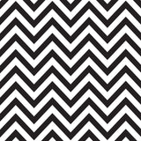 Canvas Corp Black and White Paper Collection