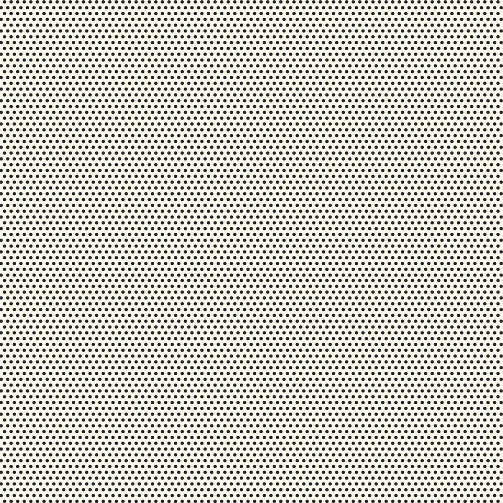 Black and Ivory Pin Dot Paper