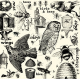 Canvas Corp Splash of Spring Paper Collection