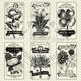 The Watering Can: Seed Packets on Ivory Paper