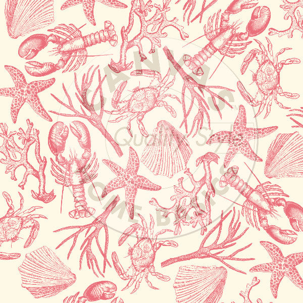 Nautical: Coral Claws & Shells on Ivory Paper