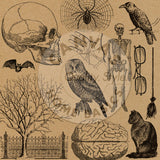 Canvas Corp Krafty Halloween Paper Collection