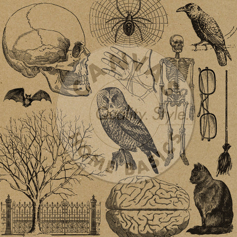 Haunt It on Kraft Paper