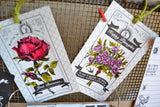 The Watering Can: Seed Packets on Ivory Paper