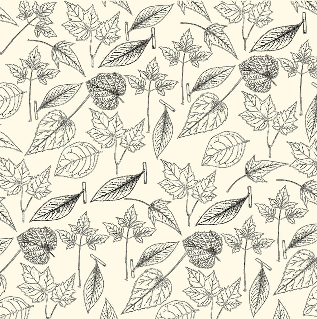 Heirloom Collection: Etched Leaves on Ivory Paper