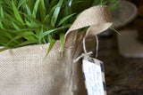 Burlap Basket Plant Holders (available in 3 sizes)