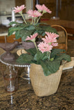 Burlap Basket Plant Holders (available in 3 sizes)