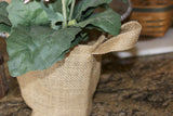 Burlap Basket Plant Holders (available in 3 sizes)