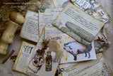 Farmhouse Kitchen: General Store on Ivory Paper