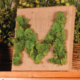 Stretched Burlap - 12 x 12