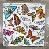 Spring Showers:  Butterflies on Ivory Paper