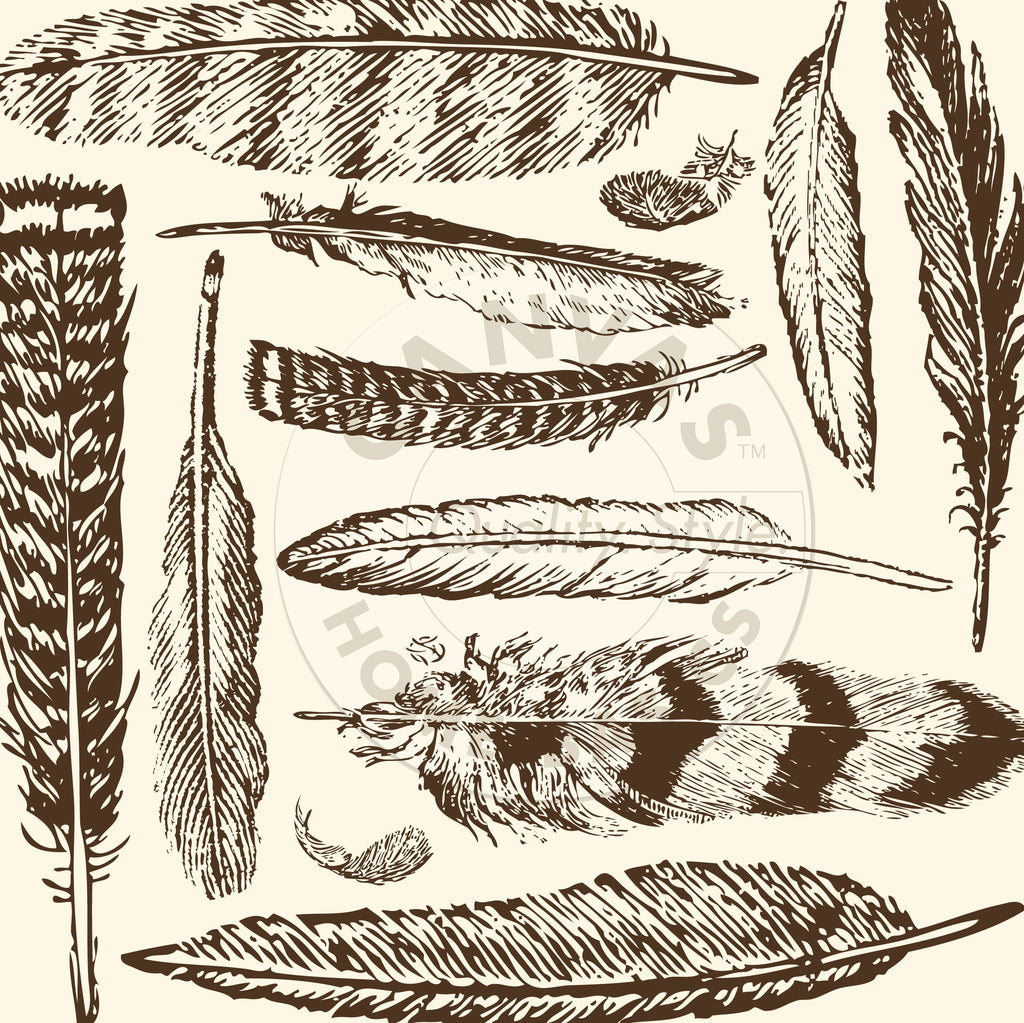 Boots & Saddle: Chocolate and Ivory Large Feathers Paper