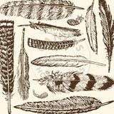 Boots & Saddle: Chocolate and Ivory Large Feathers Paper