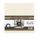 Stretched Canvas - 10 x 10