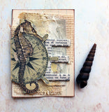 Chalkboard Mist Paint - Chalk