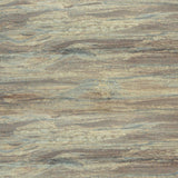 Naturally Aged Kit - Weathered Birch (Fine Wood Faux Finish Paint Kit)