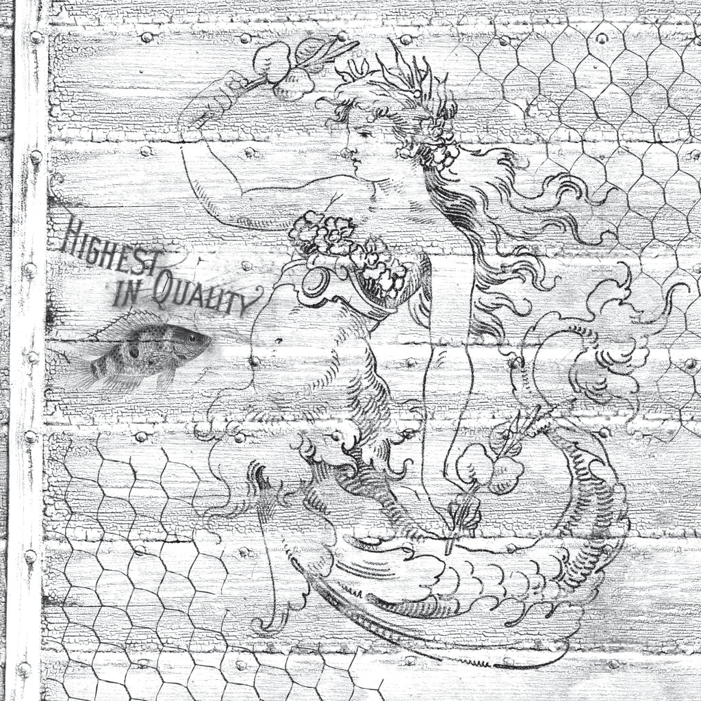 Mixed Media Origins - Mermaid