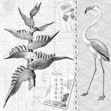 Mixed Media Origins - Birds of Paradise
