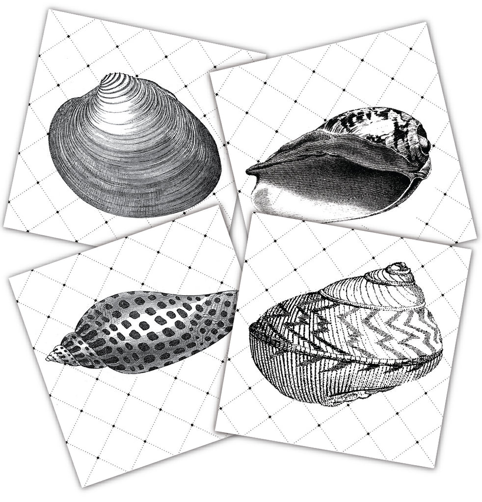 Mixed Media Origins Mini Art - Sea Shells