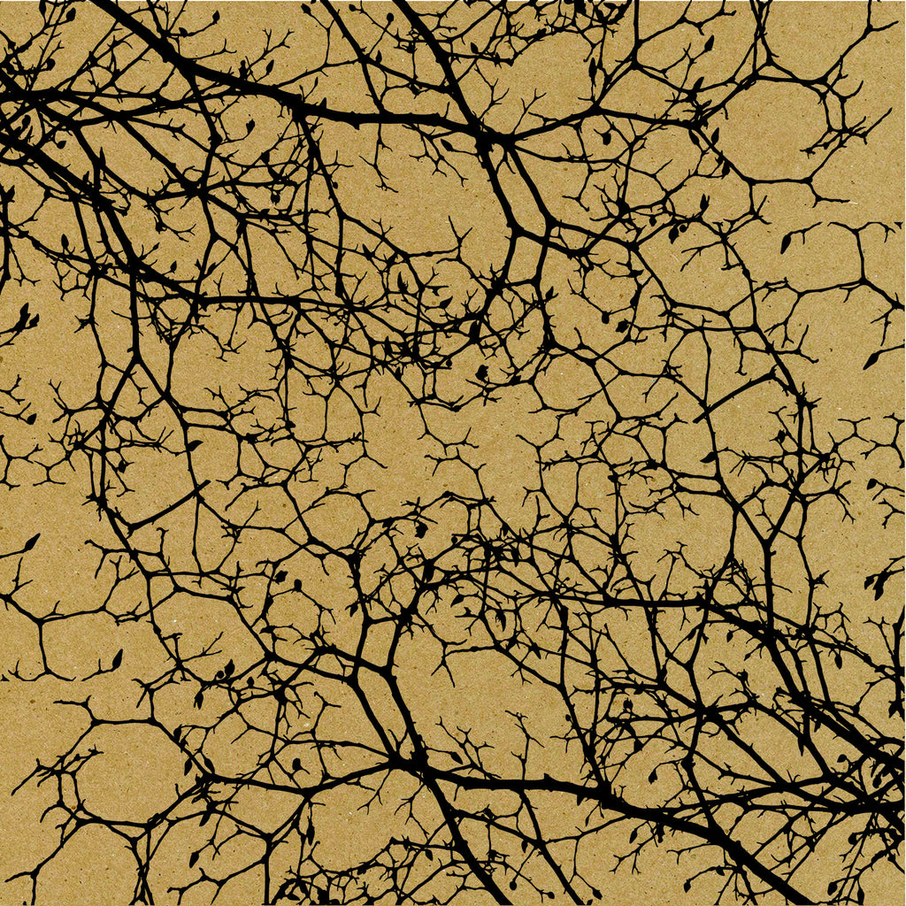 Screen Printed Cardboard