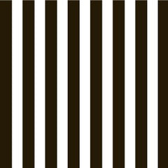 Black and White Big Stripe Paper