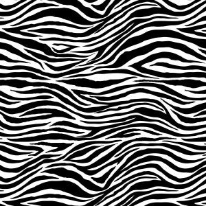 Black and White Zebra Paper