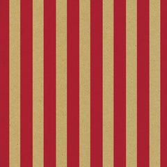 Red and Kraft Big Stripe Paper