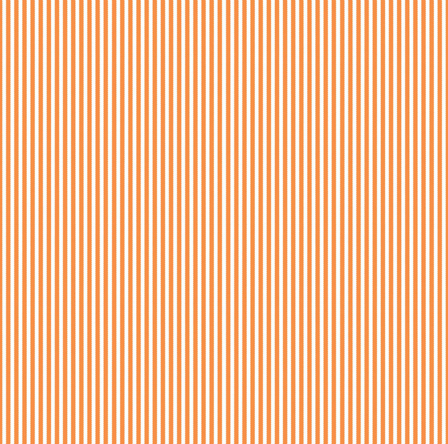 Orange and White Ribbon Stripe Paper