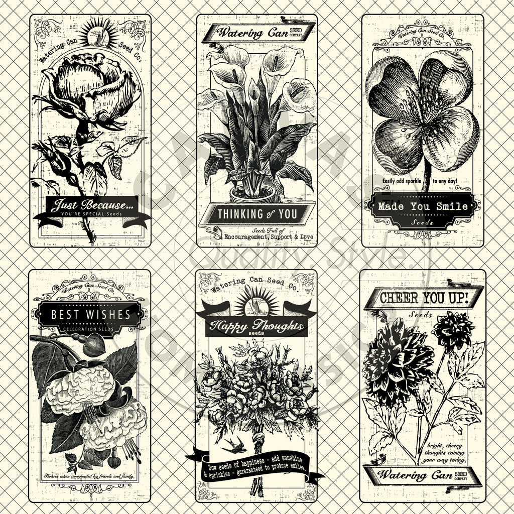 The Watering Can: Seed Packets on Ivory Paper