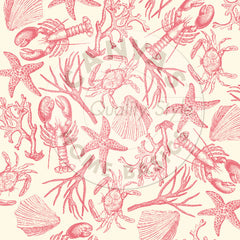 Nautical: Coral Claws & Shells on Ivory Paper