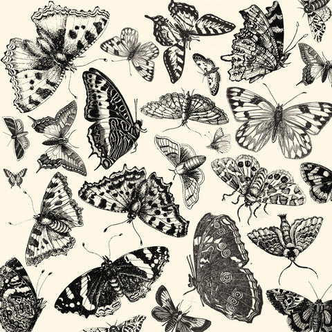 Spring Showers:  Butterflies on Ivory Paper