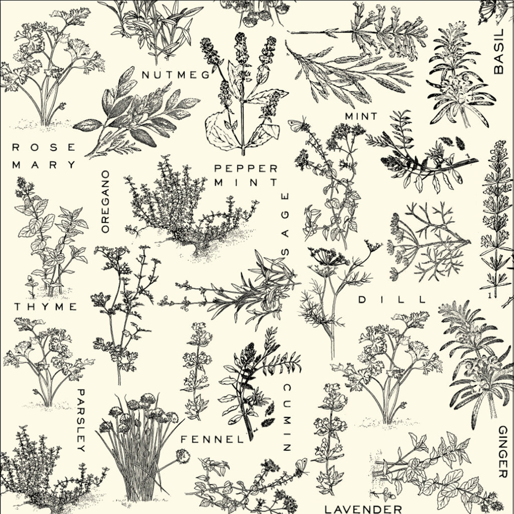 Herbs on Ivory Paper