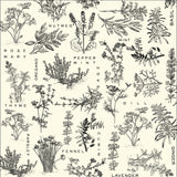 Herbs on Ivory Paper