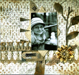 Naturally Aged Kit - Weathered Birch (Fine Wood Faux Finish Paint Kit)