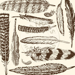 Boots & Saddle: Chocolate and Ivory Large Feathers Paper