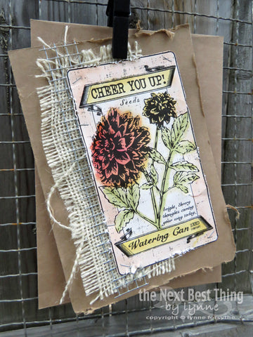 blank flower seed packets The Watering Can: Seed Packets on Ivory Paper – 1320LLC