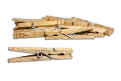 Decorative Clothespins- Jacobean